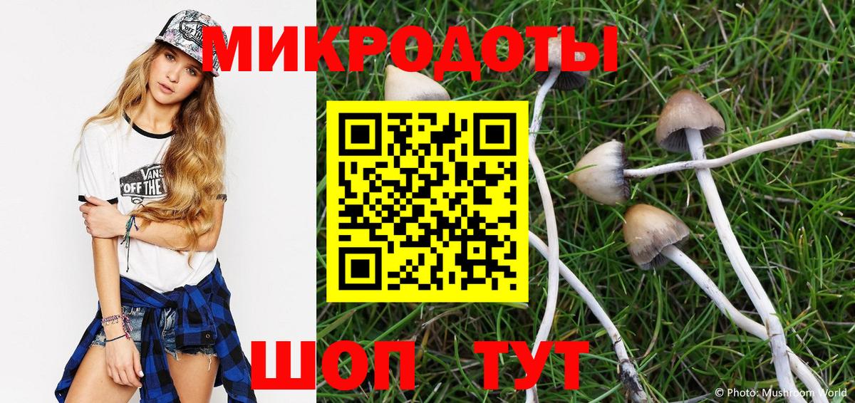 Галлюциногенные грибы мухоморы  Псилоцибиновые грибы мухоморы  купить   Буйнакск  Вход с VPN 